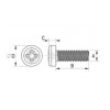 Transparent screw [170] (170035000022)